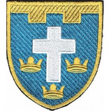 Шеврон 124 отдельная бригада ТрО (Херсонская область) (цветной)