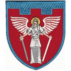 Шеврон 114 окрема бригада ТрО (Київська область) (кольоровий)