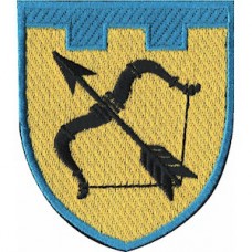 Шеврон 113 окрема бригада ТрО (Харківська область) (кольоровий)