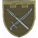 Шеврон 109 отдельная бригада ТрО (Донецкая область)