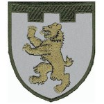 Шеврон 101 отдельная бригада ТрО (Закарпатская область)