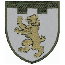 Шеврон 101 отдельная бригада ТрО (Закарпатская область)