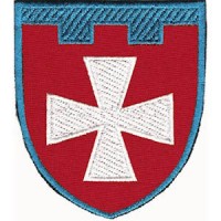 Шеврон 104 окрема бригада ТрО (Рівненська область) (кольоровий)