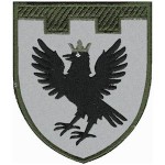 Шеврон 102 отдельная бригада ТрО (Ивано-Франковская область)