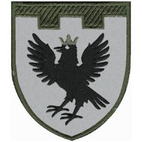 Шеврон 102 отдельная бригада ТрО (Ивано-Франковская область)