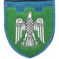 Шеврон 107 окрема бригада ТрО (Чернівецька область) (кольоровий)