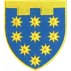 Шеврон 108 отдельная бригада ТрО (Днепропетровская область) (цветной)