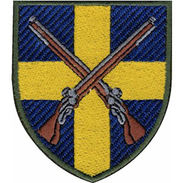 Шеврон п/ч А4860 (цветной) - 3575028