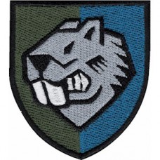 Шеврон 808 понтонно-мостовий полк (кольоровий)