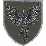 Шеврон 146 ОРВП