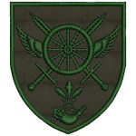 Шеврон 227 окремий автомобільний батальйон