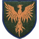 Шеврон 146 ОРВП (оранжевый феникс)