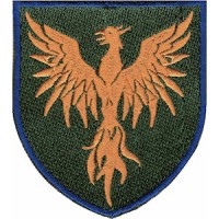 Шеврон 146 ОРВП (помаранчевий фенікс)