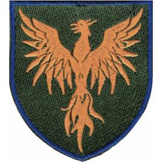 Шеврон 146 ОРВП (оранжевый феникс)