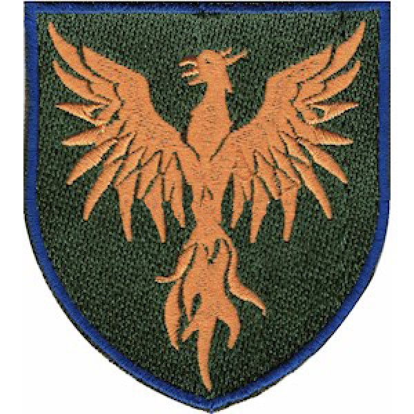 Шеврон 146 ОРВП (оранжевый феникс) - 3575002