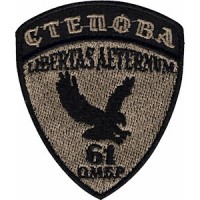 Шеврон 61 ОМБр Степова