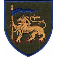 Шеврон 60 ОПБр