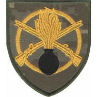 Шеврон 22 ОМПБ (кольоровий)