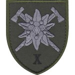 Шеврон 10 отдельная горно-штурмовая бригада