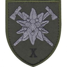 Шеврон 10 отдельная горно-штурмовая бригада