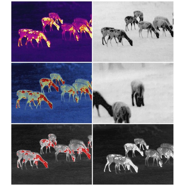 Тепловизионный монокуляр GUIDE TrackIR 50mm 400x300px - 3572470 Тепловизионный монокуляр GUIDE TrackIR 50mm 400x300px - 3572470