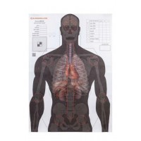 Мішень Алебарда 