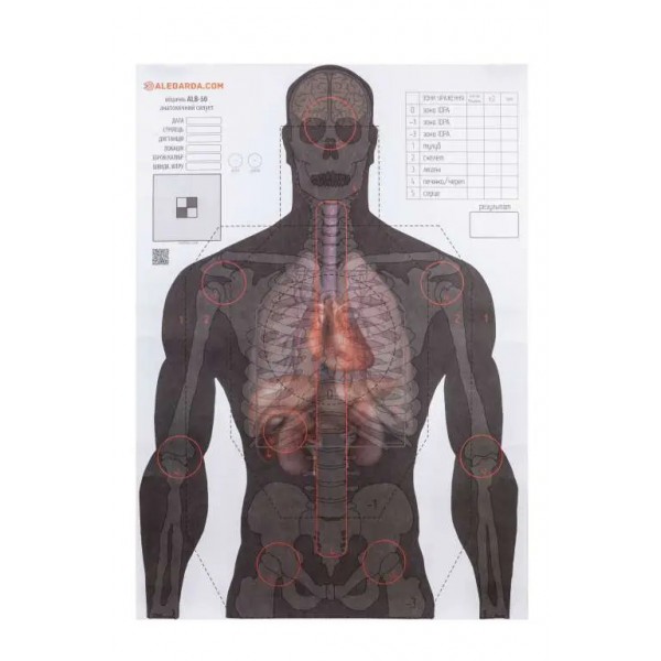 Мишень Алебарда "Анатомический силуэт" ALB-50 - 34130231