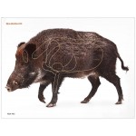 Мішень Алебарда паперова 