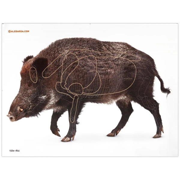 Мішень Алебарда паперова "Кабан - 34130250