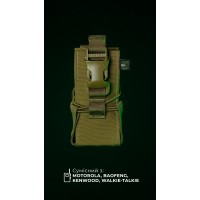 Підсумок під рацію "Вістун" GEN 2 (Фастекс | Койот) ТМ Балістика