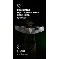 Балістичний пакет для РПС "Черсел" M-L (1 клас | 560 г | НВМПЕ ✡ Ізраїль) ТМ Балістика