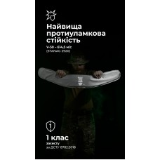 Балістичний пакет під РПС Crye Precision (1 клас | L | 550 г | НВМПЕ ✡ Ізраїль) ТМ Балістика
