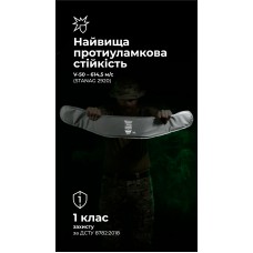 Балістичний пакет під РПС Crye Precision (1 клас | XL | 640 г | НВМПЕ ✡ Ізраїль) ТМ Балістика