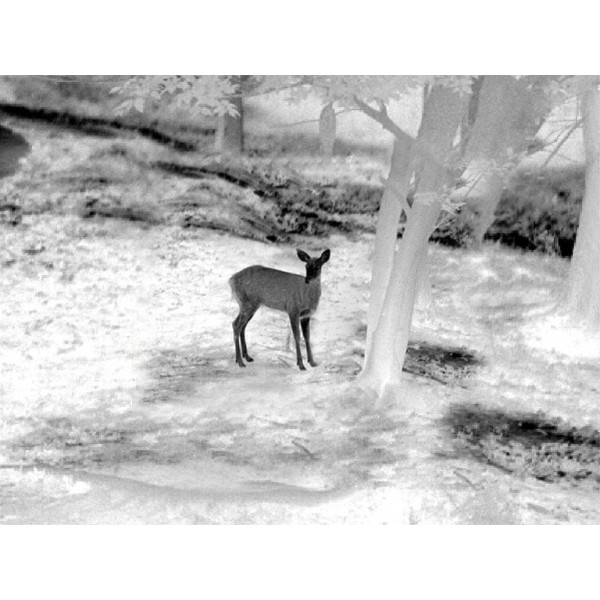 Прицел тепловизионный Guide TU450 3,2-12,8x50 400x300@17μm VOx 3000м - 23780009 Прицел тепловизионный Guide TU450 3,2-12,8x50 400x300@17μm VOx 3000м - 23780009