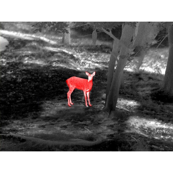 Прицел тепловизионный Guide TU450 3,2-12,8x50 400x300@17μm VOx 3000м - 23780009 Прицел тепловизионный Guide TU450 3,2-12,8x50 400x300@17μm VOx 3000м - 23780009