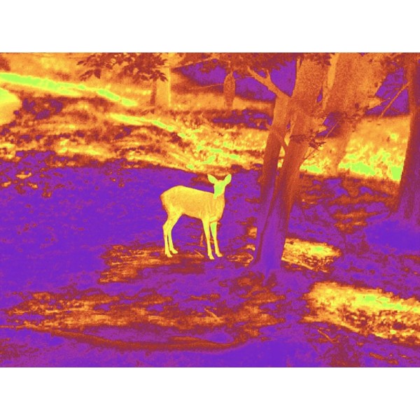 Прицел тепловизионный Guide TU450 3,2-12,8x50 400x300@17μm VOx 3000м - 23780009 Прицел тепловизионный Guide TU450 3,2-12,8x50 400x300@17μm VOx 3000м - 23780009