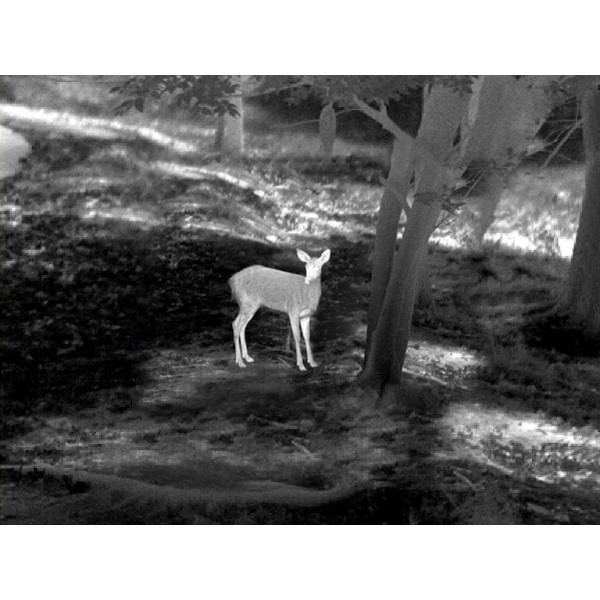 Прицел тепловизионный Guide TU450 3,2-12,8x50 400x300@17μm VOx 3000м - 23780009 Прицел тепловизионный Guide TU450 3,2-12,8x50 400x300@17μm VOx 3000м - 23780009