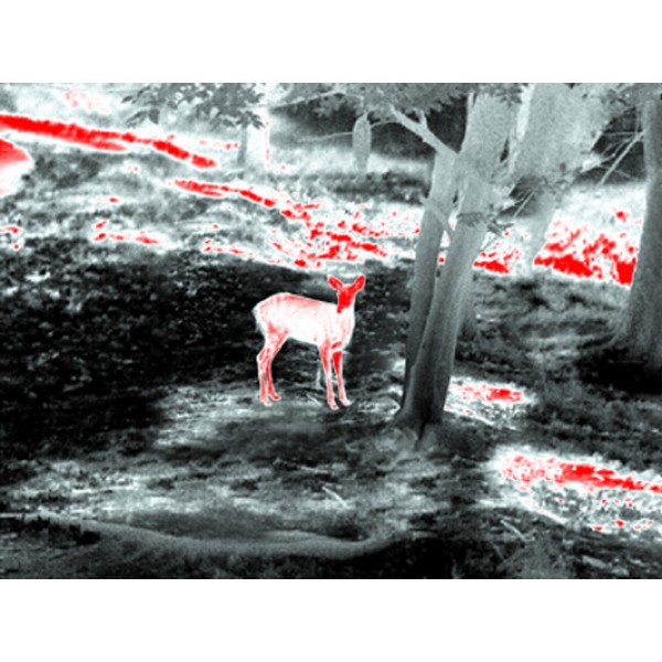 Тепловізійний приціл Guide TS435 2.3-9.2x35 400x300. 2400м - 23780019 Тепловізійний приціл Guide TS435 2.3-9.2x35 400x300. 2400м - 23780019