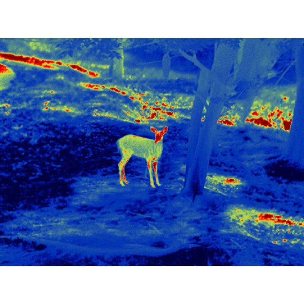 Тепловізійний приціл Guide TS435 2.3-9.2x35 400x300. 2400м - 23780019 Тепловізійний приціл Guide TS435 2.3-9.2x35 400x300. 2400м - 23780019