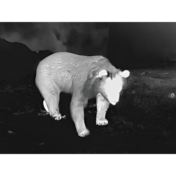 Монокуляр тепловізійний Guide TD631LRF 640x480. 3350м. Далекомір 600 м - 23780072 Монокуляр тепловізійний Guide TD631LRF 640x480. 3350м. Далекомір 600 м - 23780072