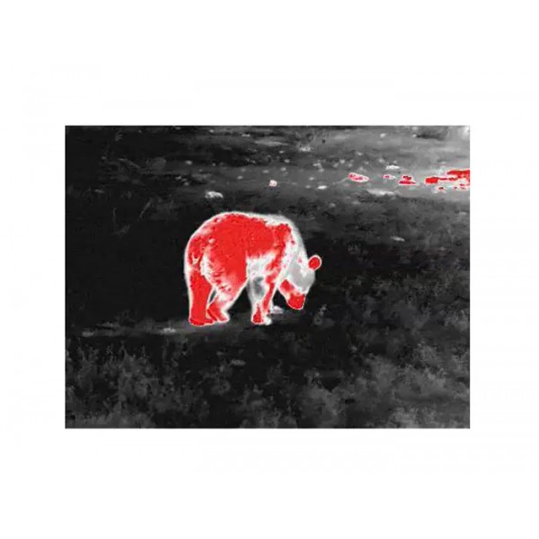 Монокуляр тепловизионный Guide TD431 2.6-10.4x35 384x288@12μm - 23780126