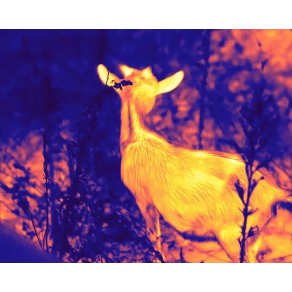 Монокуляр тепловизионный Guide TD431 2.6-10.4x35 384x288@12μm - 23780126