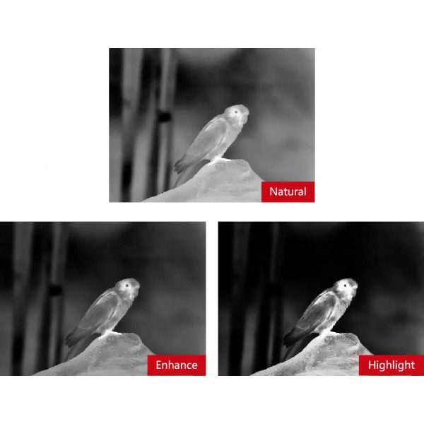 Бинокуляр тепловизионный GUIDE TN650 2.8-22.4x50 640x480@12μm с дальномером 1500 м - 23780130