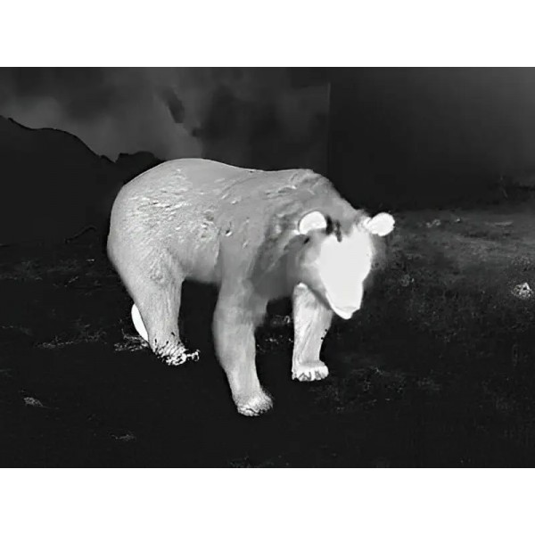 Монокуляр тепловізійний Guide TD431 LRF 2.6-10.4x35 384x288@12μm з далекоміром 600 м - 23780131 Монокуляр тепловізійний Guide TD431 LRF 2.6-10.4x35 384x288@12μm з далекоміром 600 м - 23780131