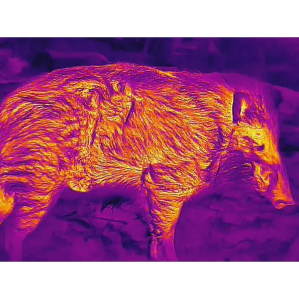 Монокуляр тепловізійний Guide TD431 LRF 2.6-10.4x35 384x288@12μm з далекоміром 600 м - 23780131 Монокуляр тепловізійний Guide TD431 LRF 2.6-10.4x35 384x288@12μm з далекоміром 600 м - 23780131