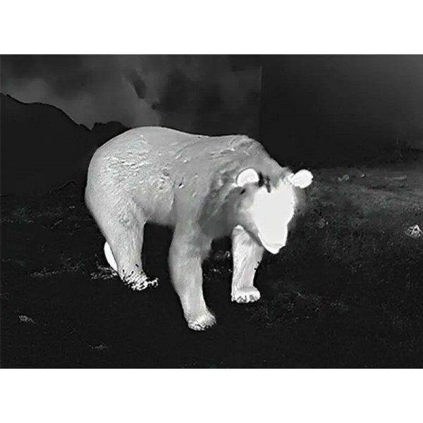 Прицел тепловизионный Guide TR420 2.3-9.2x25 384x288@12μm QD Long mount - 23780139 Прицел тепловизионный Guide TR420 2.3-9.2x25 384x288@12μm QD Long mount - 23780139