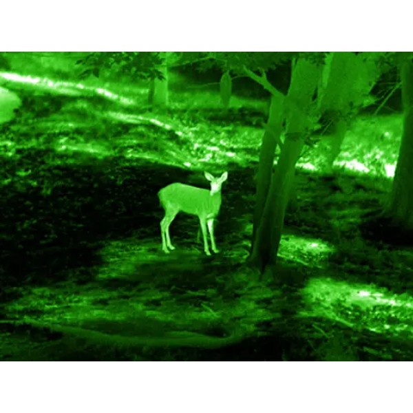 Прицел тепловизионный Guide TR420 2.3-9.2x25 384x288@12μm QD Long mount - 23780139 Прицел тепловизионный Guide TR420 2.3-9.2x25 384x288@12μm QD Long mount - 23780139