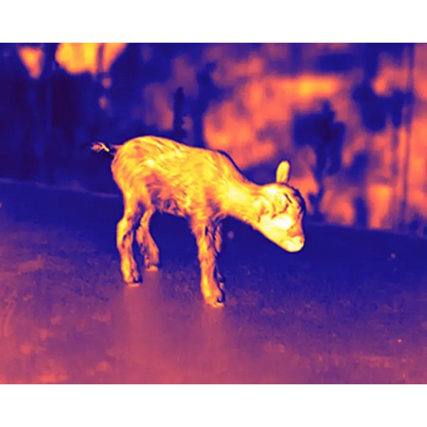 Прицел тепловизионный Guide TR420 2.3-9.2x25 384x288@12μm QD Long mount - 23780139 Прицел тепловизионный Guide TR420 2.3-9.2x25 384x288@12μm QD Long mount - 23780139