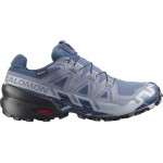 Кроссовки Salomon SPEEDCROSS 6 6.5 GTX Spellbound/Black