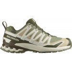 Кроссовки Salomon XA PRO 3D V9 GTX 11 Deeplichengreen/Safari